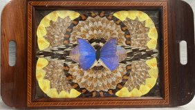 Vintage Deco Real Butterfly Wing Art Wood Inlaid Tray Iridescent Blue Brazil