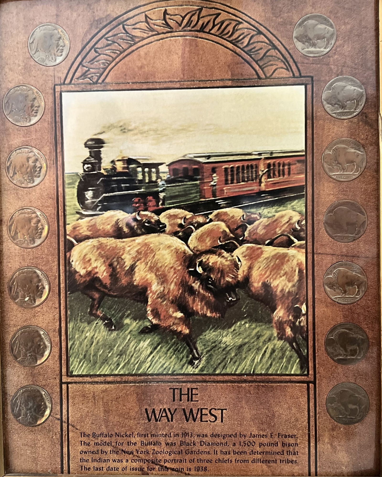14 Buffalo Nickles  Framed with a story and Picture (1 of 2)