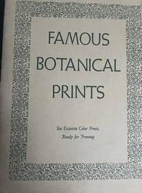 LOT OF 15 PRINTS FAMOUR BOTANICAL PRINTS AND PROFILE PRINTS + OR - 13" X 11"