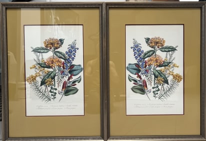 Collection of 2 Multicolored Botanical Lithografts By John Richards