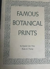 LOT OF 15 PRINTS FAMOUR BOTANICAL PRINTS AND PROFILE PRINTS + OR - 13" X 11"