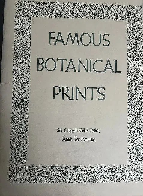 LOT OF 15 PRINTS FAMOUR BOTANICAL PRINTS AND PROFILE PRINTS + OR - 13" X 11": This product is a set of 15 unframed art prints, approximately 13" x 11" in size. The prints feature floral and profile themes and are made of paper. The specific botanical prints are not specified.