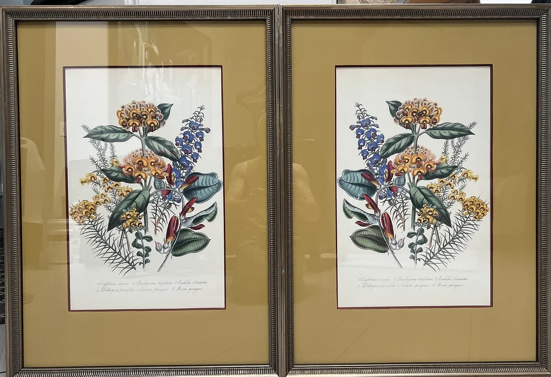 Collection of 2 Multicolored Botanical Lithografts By John Richards: Collection of 2 Multicolored Botanical Lithografts By John Richards These framed botanical prints by John-Richard . This company is known for its luxury home furnishings, which include a range of art