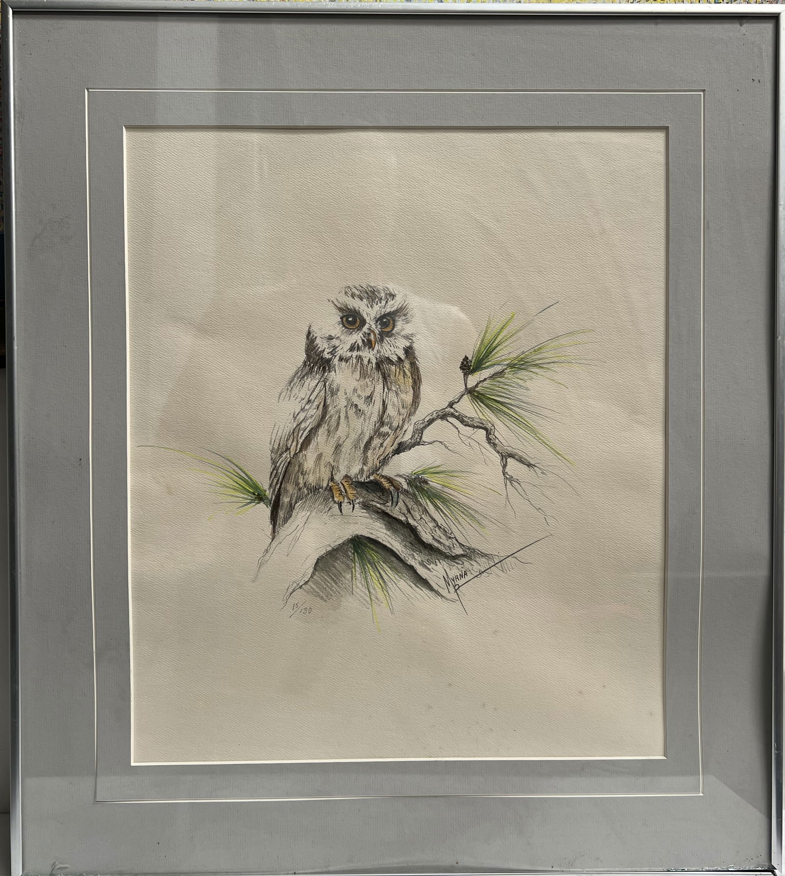 Myana Signed & Numbered Owl Lithograph – "Saw-Whet Owl on Pine Branch" – Limited Edition 15/150: This is a beautiful, vintage limited edition print by the artist Myana. The piece features a highly detailed sketch of a small owl (appearing to be a Northern Saw-whet or similar species) perched on a