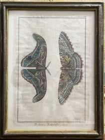 Diderot & d'Alembert 1760s Antique Insect Engraving "Histoire Naturelle" Pl. LXXXII 13x17 Framed: Origin: This is an original, authentic 18th-century copperplate engraving from the famous French Encyclopédie or Encyclopédie Méthodique by Denis Diderot and Jean le Rond d'Alembert (published circ