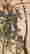 item-131852212=8