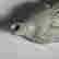 item-131852335=6
