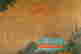 item-131852352=9