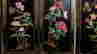 item-137022815=14