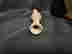 item-134289140=12