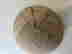 item-134289146=10