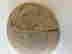item-134289146=9