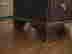 item-133475456=11