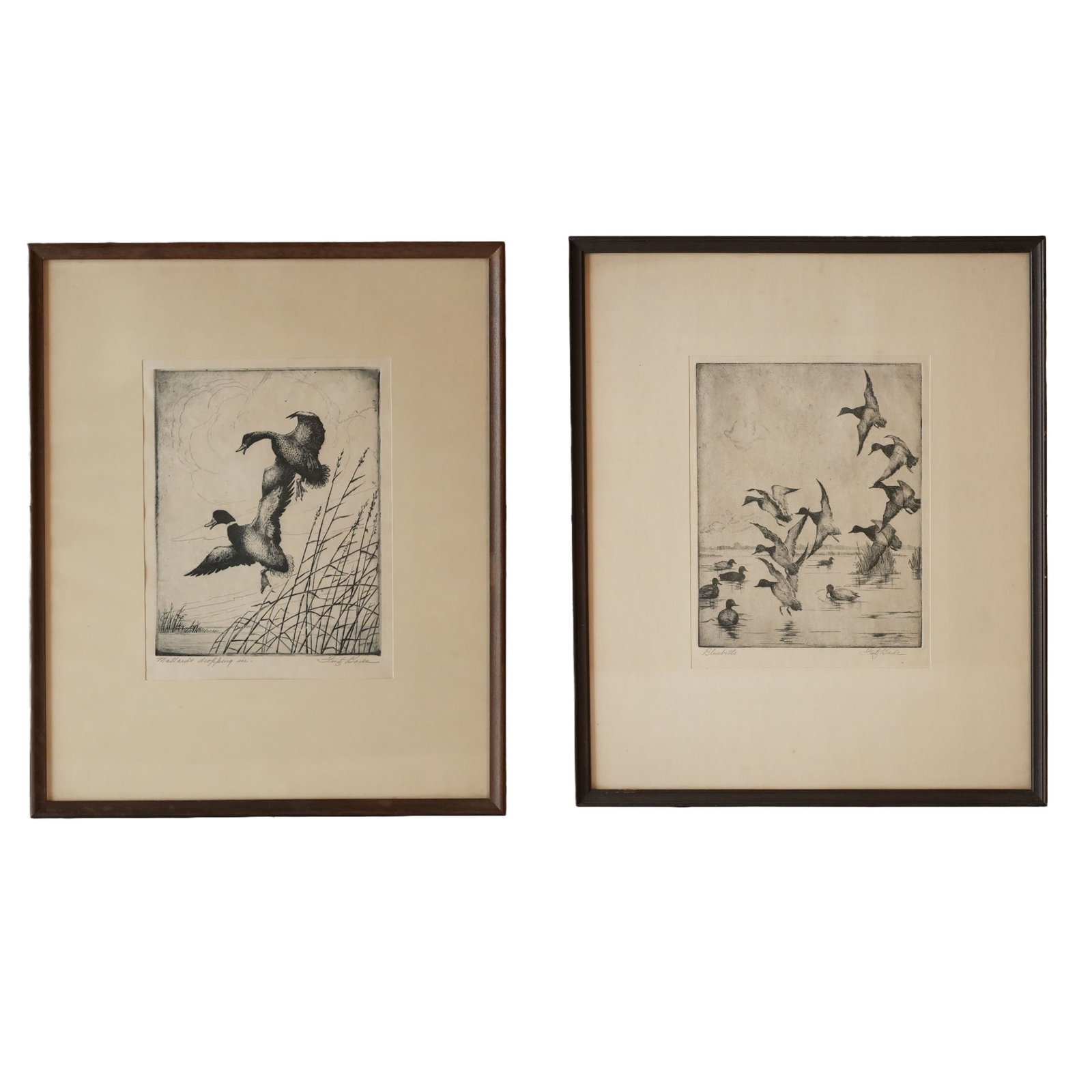 "Mallards Dropping In" and "Bluebills" Engravings By Fritz Bade: Pair of engravings by Fritz Bade, "Mallards Dropping In"& "Bluebills", 1942