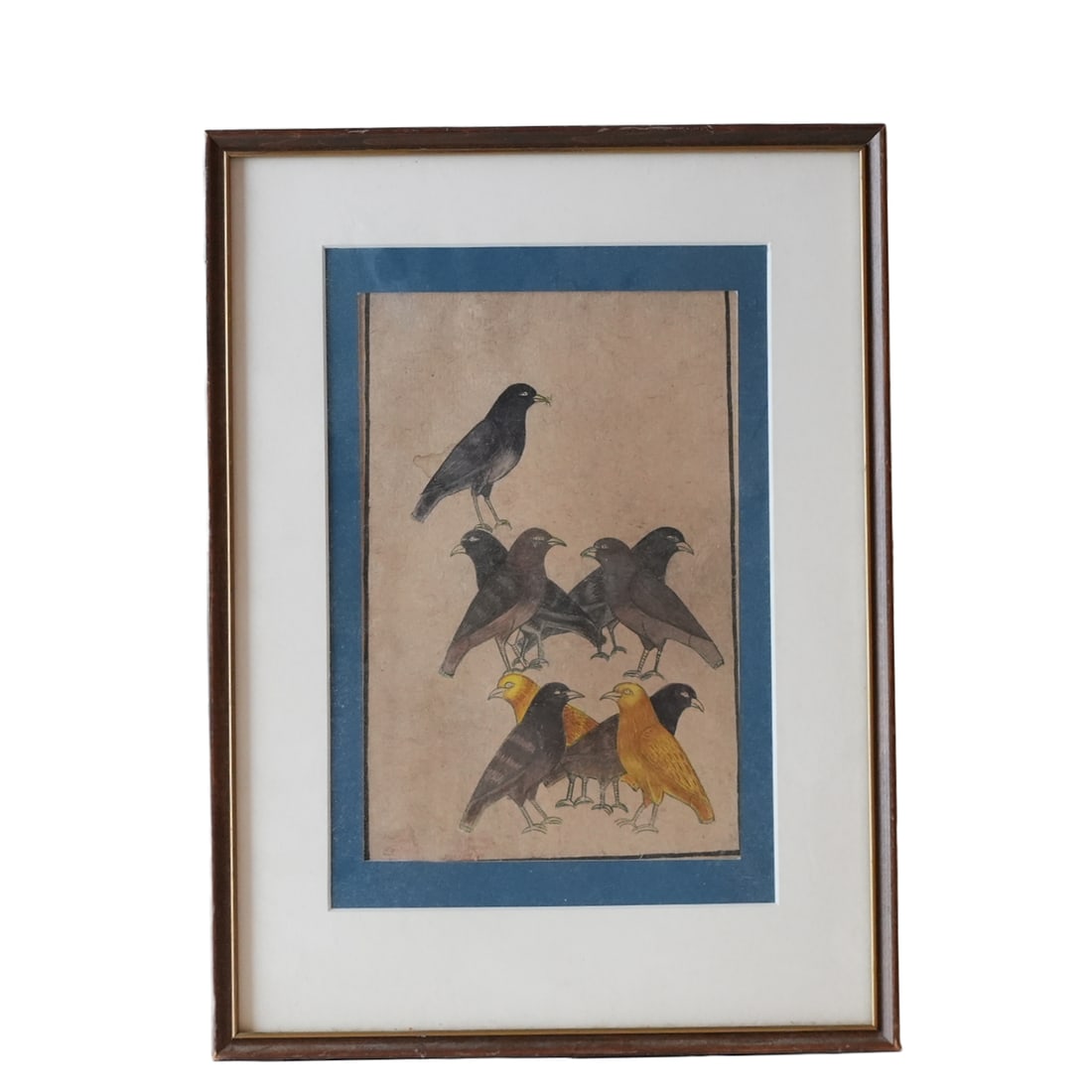 18th Century Watercolor Of Birds (1 of 10)