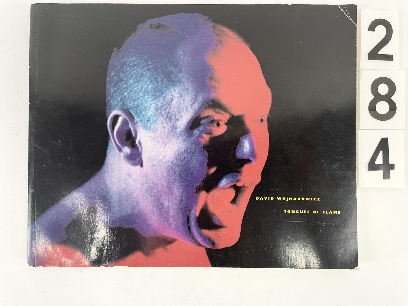 [ART-BOOKS] DAVID WOJNAROWICZ "TONGUES OF FLAME" SIGNED (1 of 5)