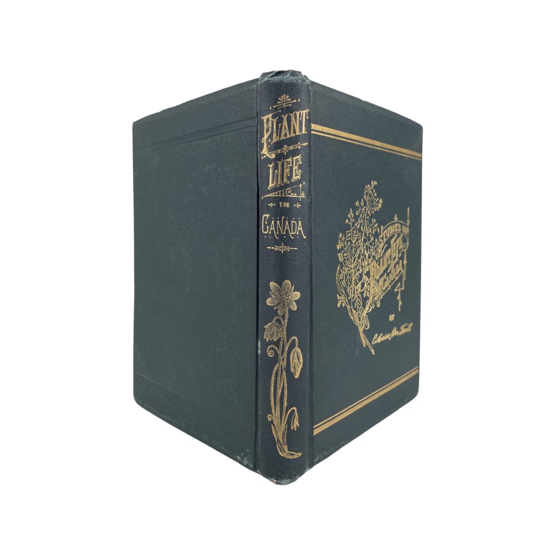 TRAILL.STUDIES OF PLANT LIFE IN CANADA, 1885: [BOOK CANADIANA] TRAILL, MRS. C.P. "STUDIES OF PLANT LIFE IN CANADA" TRAILL, MRS. C.P. "STUDIES OF PLANT LIFE IN CANADA" Gleanings from Forest, Lake and Plain. Ottawa, Canada. Woodburn, 1885. Large 8v