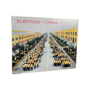 Edward Burtynsky: Works for Sale, Upcoming Auctions & Past Results