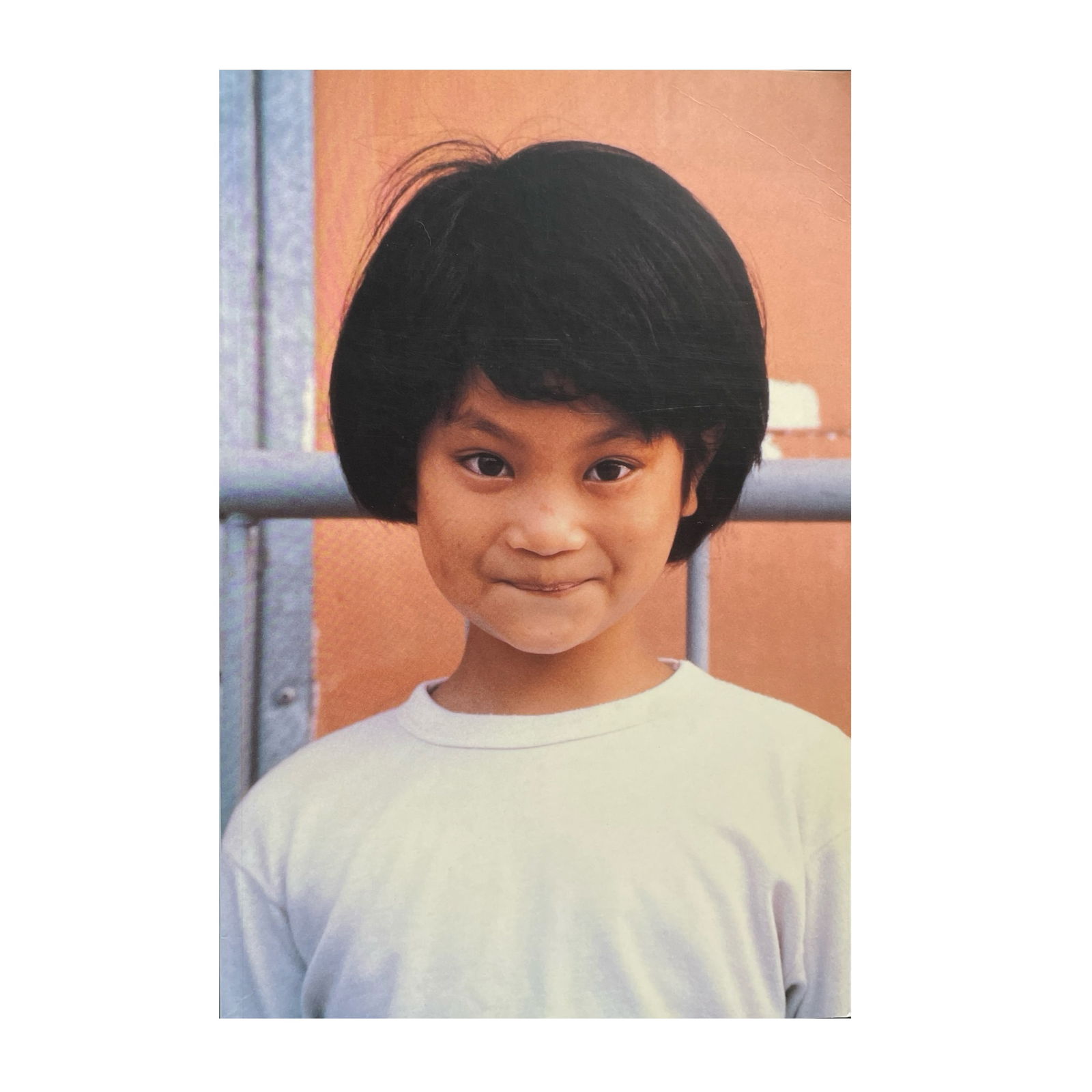 ALFREDO JAAR; A HUNDRED TIMES NGUYEN. 1ST ED. 1994 (1 of 1)