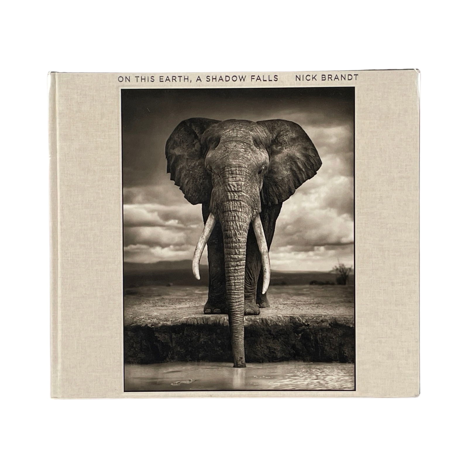 NICK BRANDT.: ON THIS EARTH, A SHADOW FALLS 1st ED (1 of 1)