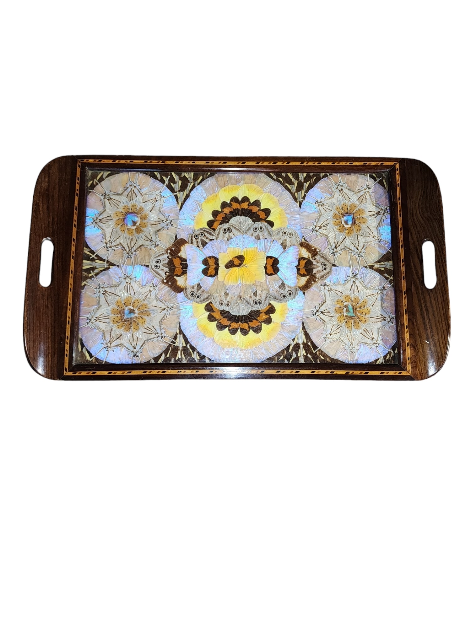 Victorian Mahogany Inlaid Butterfly Tray (1 of 5)