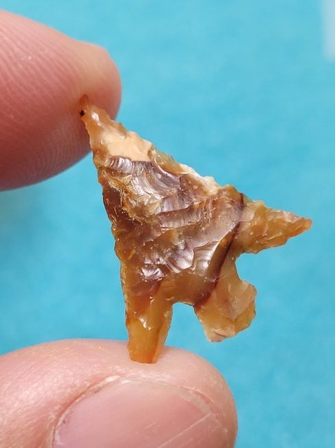 HIGHLIGHT!!! Authentic Arrowhead Artifact Eastgate Agate Plymouth, Washington 1967 (1 of 11)