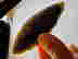 item-133216160=3