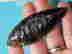 item-133216160=9