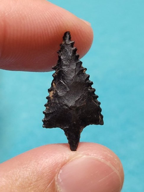 Authentic Arrowhead Artifact Heavily Serrated Wallula Rectangular Stemmed Rogue River, Oregon 1960's (1 of 7)