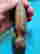 item-133343389=3