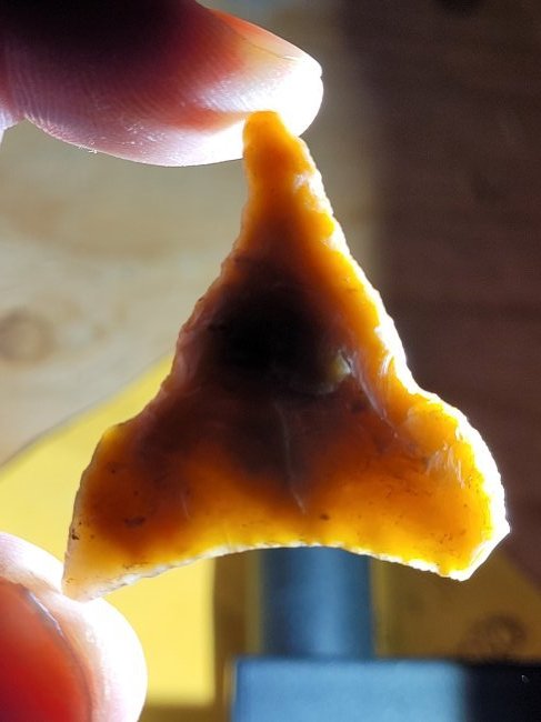MULE EAR AUTHENTIC ARROWHEAD ARTIFACT UMATILLA OREGON 1960S (1 of 8)