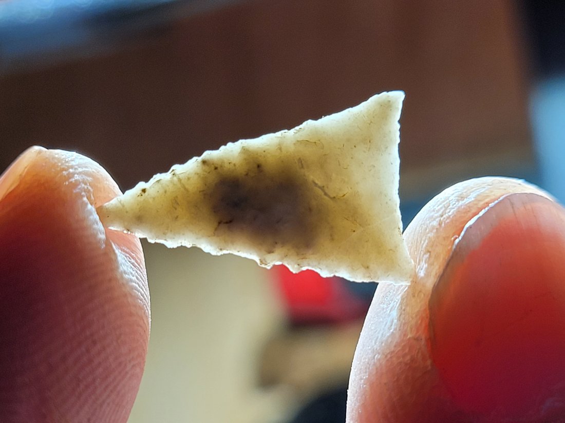 PAPER THIN FROM NEW MEXICO ARROWHEAD AMAZING FLAKING AUTHENTIC ARTIFACT (1 of 8)