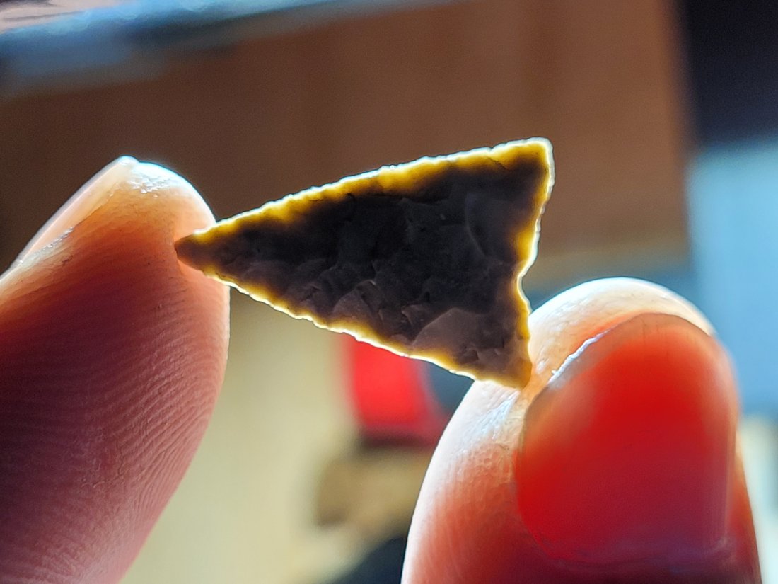 PAPER THIN FROM NEW MEXICO ARROWHEAD AMAZING FLAKING AUTHENTIC ARTIFACT (1 of 8)