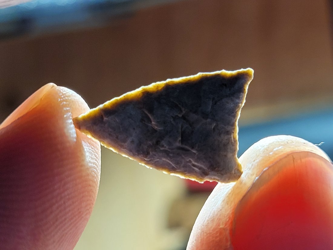 PAPER THIN FROM NEW MEXICO ARROWHEAD AMAZING FLAKING AUTHENTIC ARTIFACT (1 of 8)