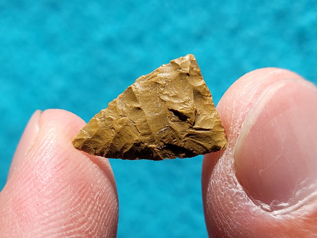PAPER THIN FROM NEW MEXICO ARROWHEAD AMAZING FLAKING AUTHENTIC ARTIFACT (1 of 8)