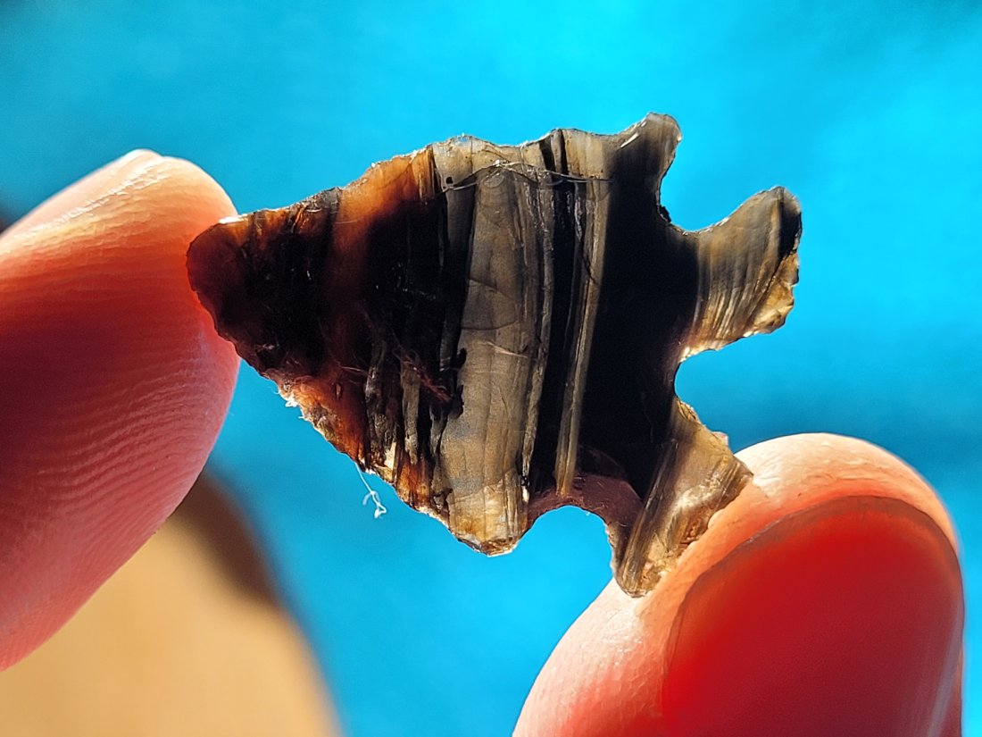 AUTHENTIC OBSIDIAN ARROWHEAD ARTIFACT COLLECTION LAKE COUNTY OREGON 1900'S: AUTHENTIC OBSIDIAN ARROWHEAD ARTIFACT COLLECTION LAKE COUNTY OREGON 1900'S - NOTE: THESE ARE AUTHENTIC BUT EITHER THE TIP OR THE BASE HAS BEEN RE-CHIPPED, I SHOWED IT IN THE LAST PICTURE, ON SOME ITS