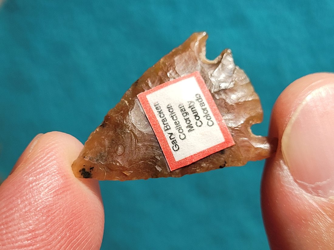 HIGH PLAINS EX: GARY BRACKEN COLLECTION FROM COLORADO WYOMING OKLAHOMA AUTHENTIC ARROWHEAD ARTIFACT: HIGH PLAINS EX: GARY BRACKEN COLLECTION. MOST OF THEM ARE FROM: COLORADO & THERE ARE SOME FROM: WYOMING OKLAHOMA AUTHENTIC ARROWHEAD ARTIFACT