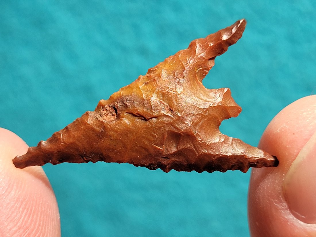 COA GUNTHER AUTHENTIC ARROWHEAD ARTIFACT JACKSON COUNTY OREGON EX DEAN THOMPSON COLLECTION 1950 1960 (1 of 9)