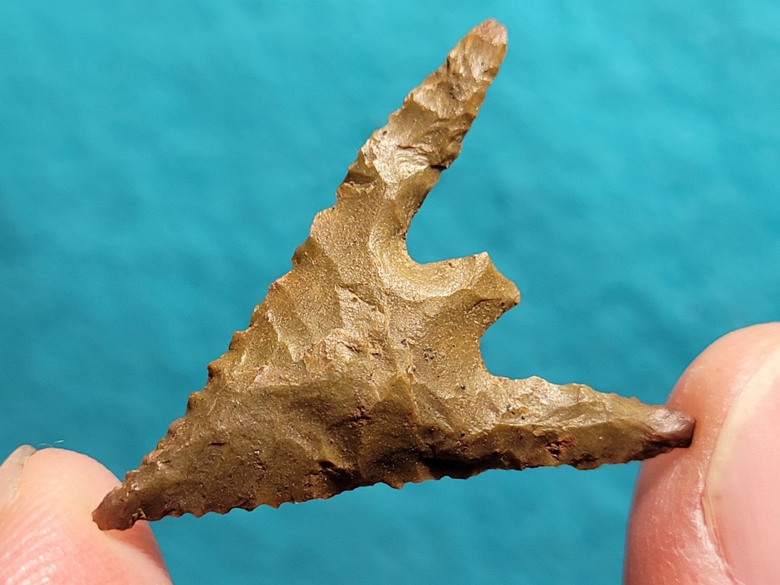 COA "GUNTHER" AUTHENTIC ARROWHEAD ARTIFACT JACKSON COUNTY OREGON EX DEAN THOMPSON COLLECTION (1 of 9)