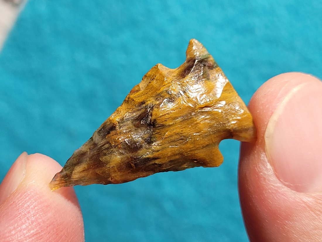 HIGH PLAINS EX: GARY BRACKEN COLLECTION FROM COLORADO WYOMING OKLAHOMA AUTHENTIC ARROWHEAD ARTIFACT (1 of 8)