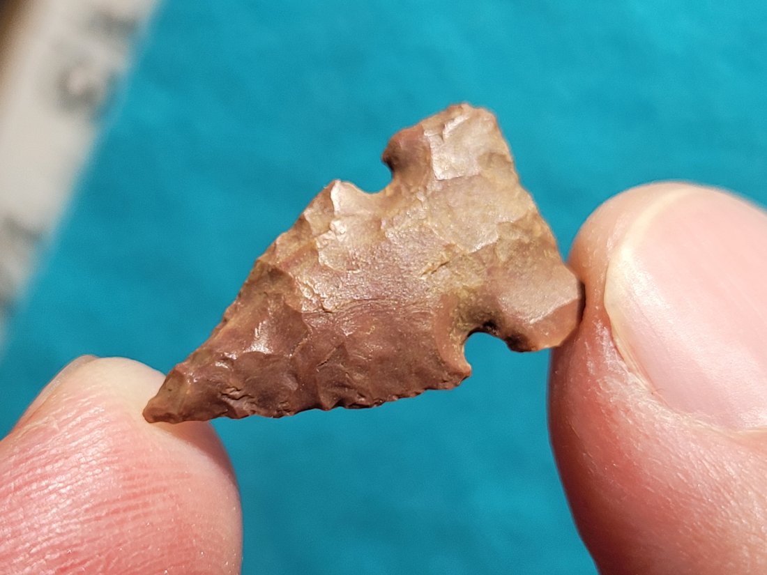 HIGH PLAINS EX: GARY BRACKEN COLLECTION FROM COLORADO WYOMING OKLAHOMA AUTHENTIC ARROWHEAD ARTIFACT: HIGH PLAINS EX: GARY BRACKEN COLLECTION. MOST OF THEM ARE FROM: COLORADO & THERE ARE SOME FROM: WYOMING OKLAHOMA AUTHENTIC ARROWHEAD ARTIFACT PALEO