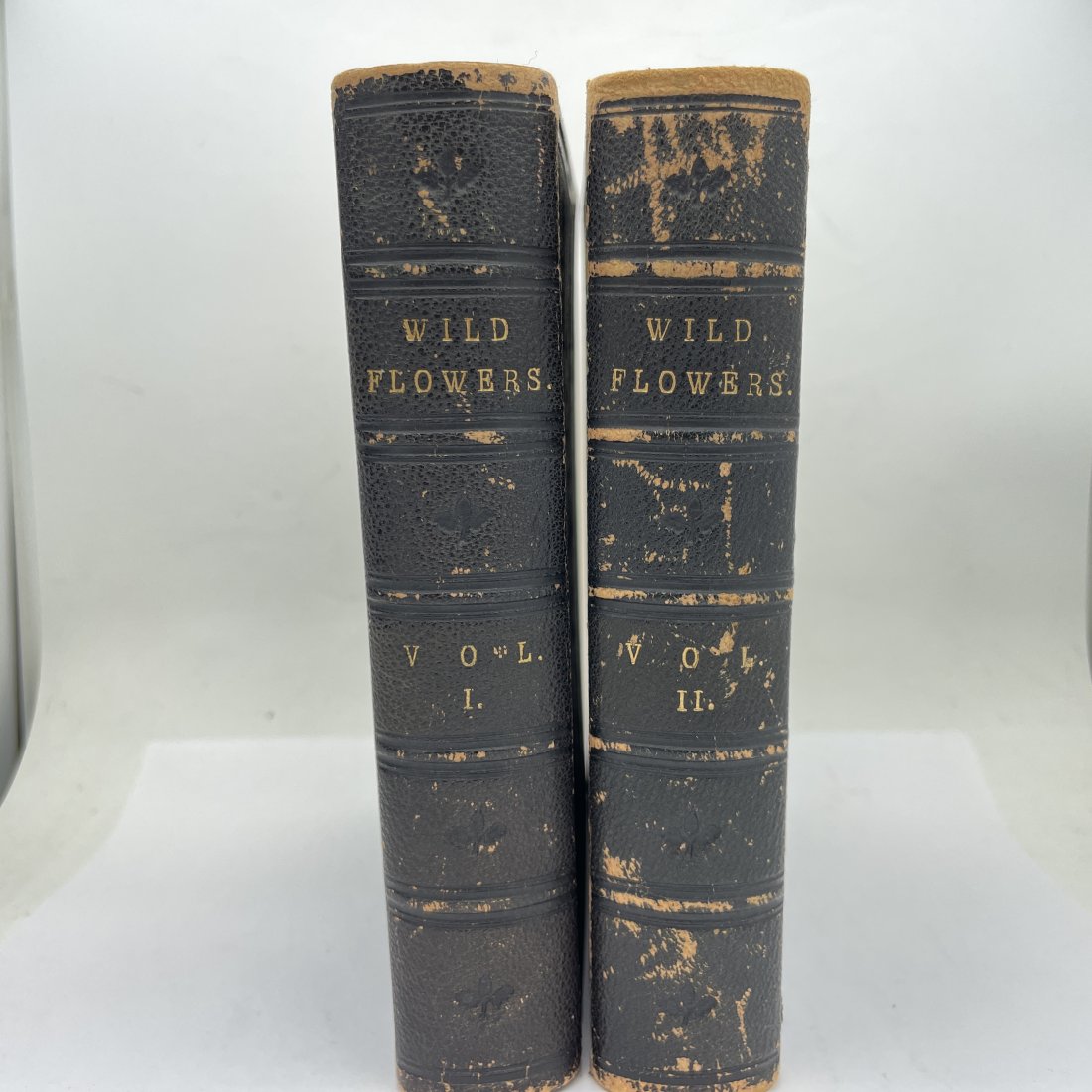 Wild Flowers by Anne Pratt: 12mo, 2 volumes: pp. 192,195. With 192 plates, printed in colours. Published 1857, corners slightly bumped, otherwise a very nice copy. Anne Pratt (1806-1893), a grocer's daughter from Kent and author