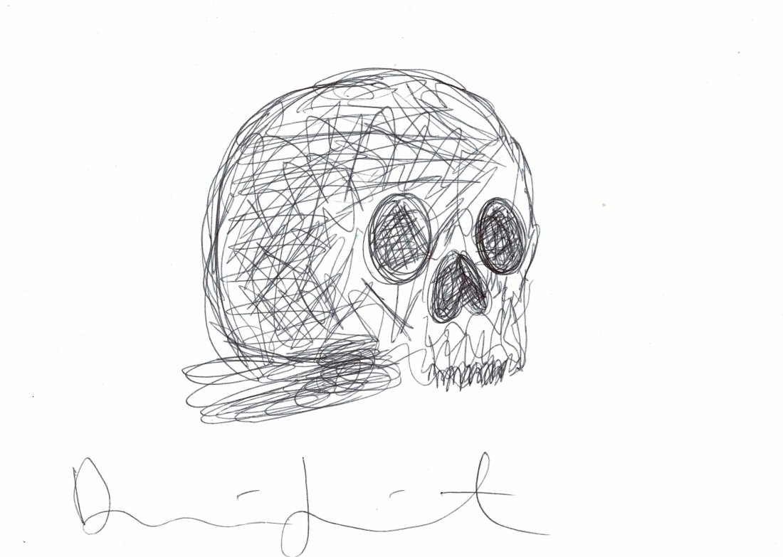 Damien Hirst original Skull drawing Signed (1 of 1)