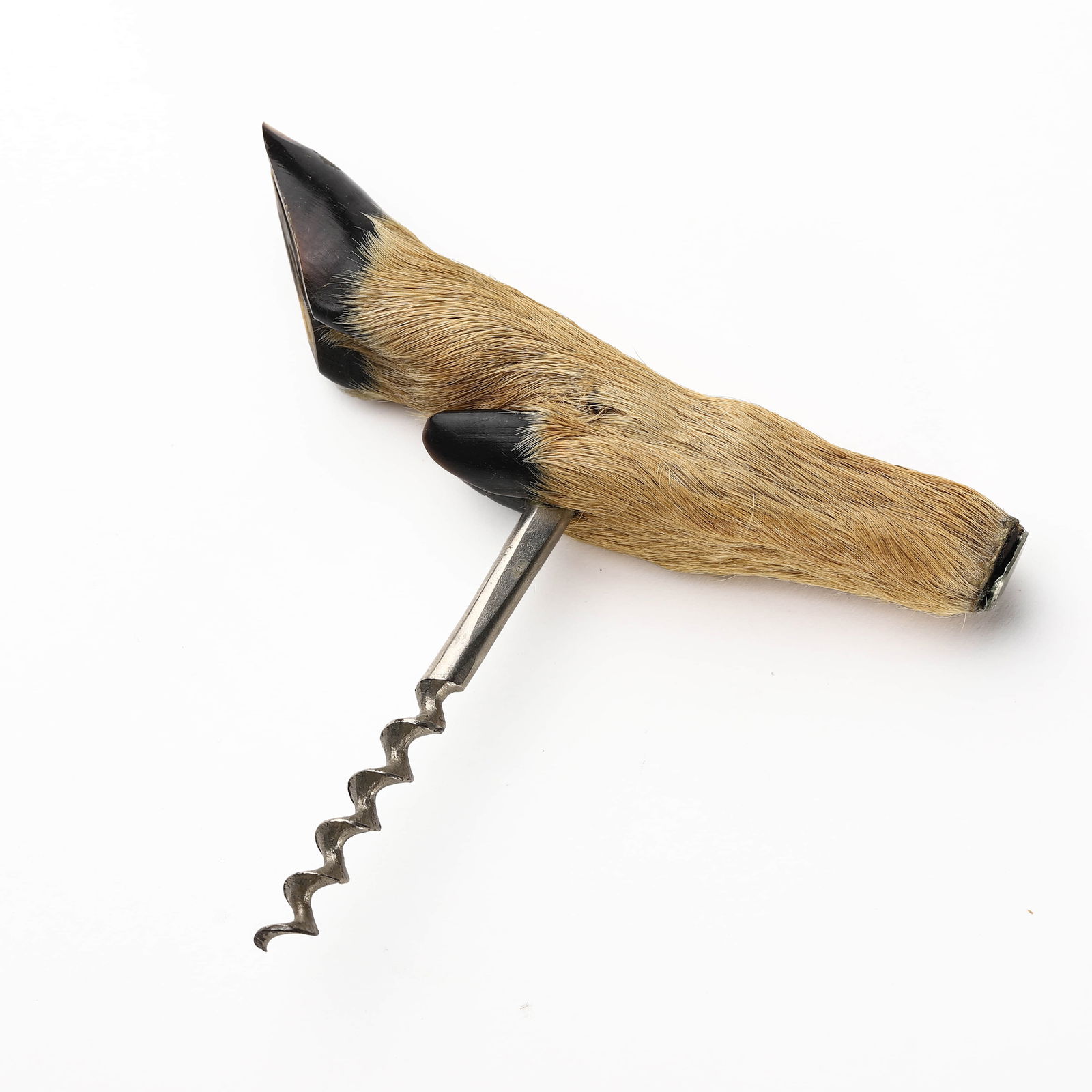 AN ANTIQUE CORKSCREW WITH DEER HOOF HANDLE (1 of 6)