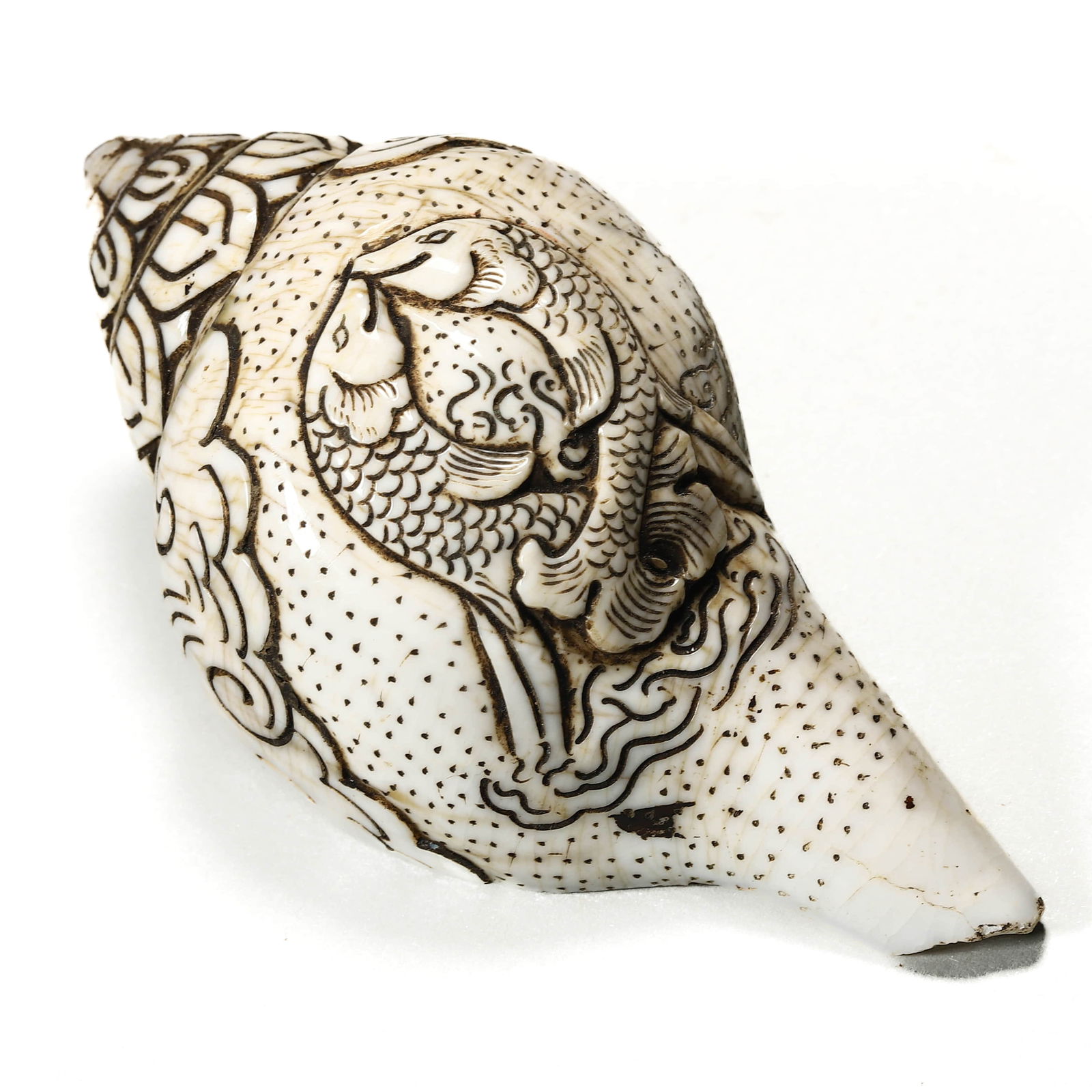 ENGRAVED CONCH SHELL (1 of 7)