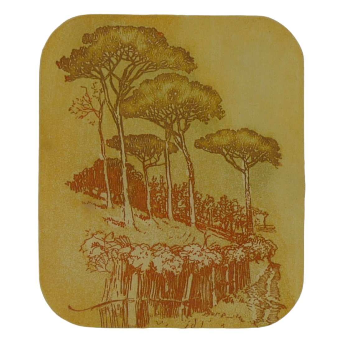 "Grove" Signed Limited Edition Print by Thelma Lora Fine (1 of 4)