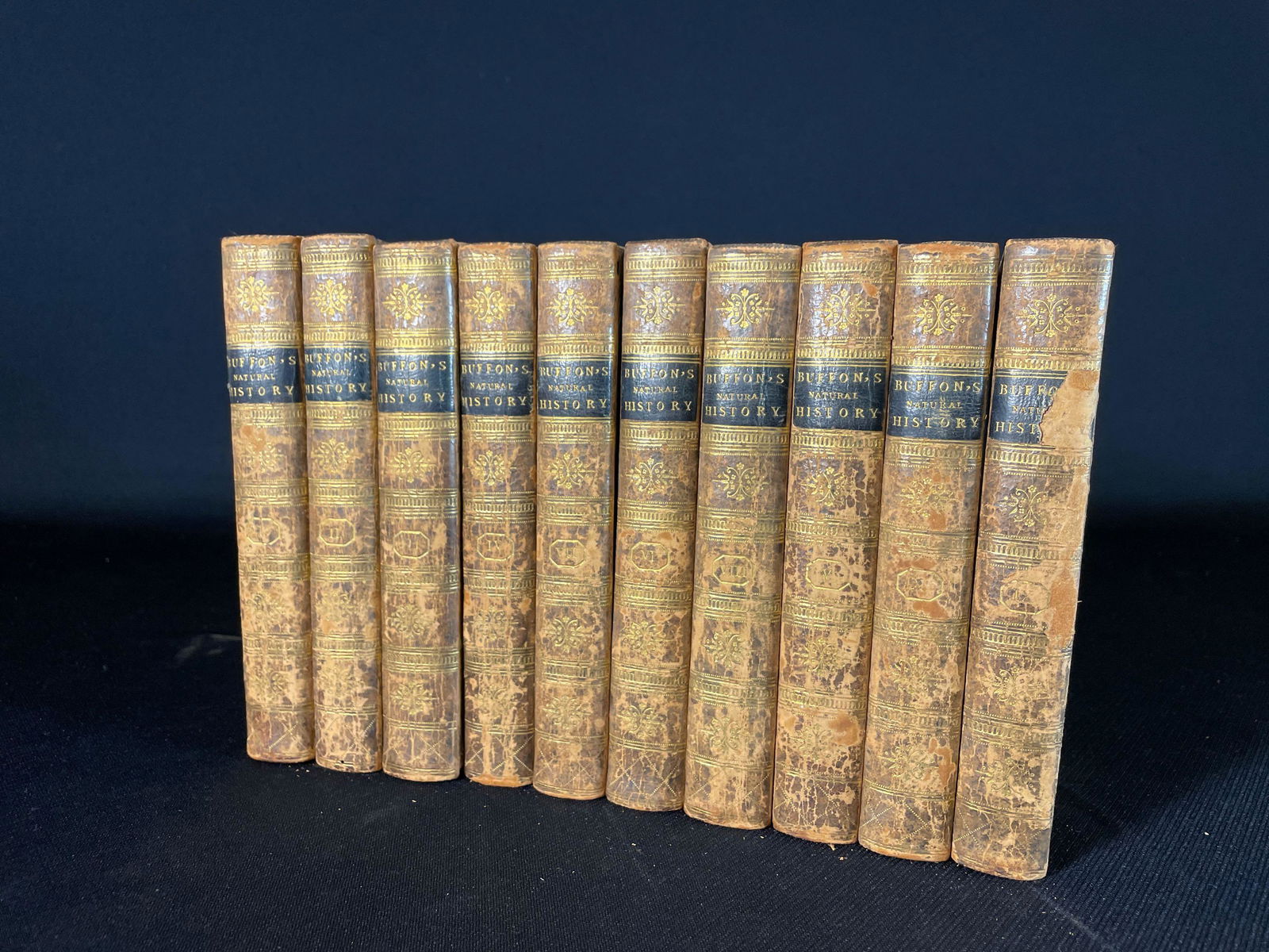 Buffon, Barr's, 10-Vol,  "Buffon's Natural History," printed 1792 (1 of 12)