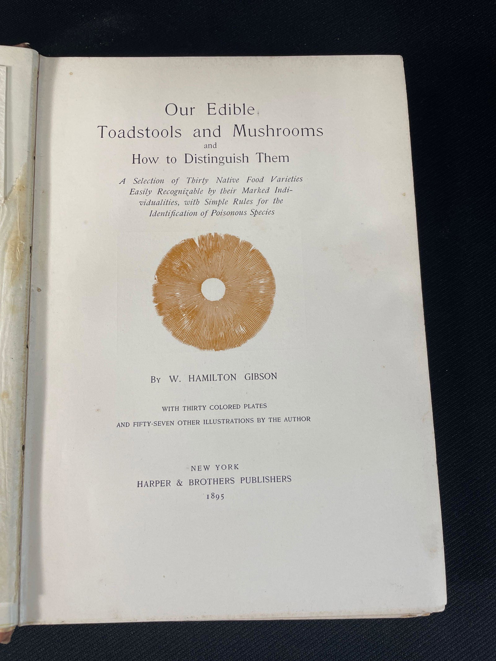 Gibson, Hamilton W. "Our Edible Toadstools and Mushrooms And How To Distinguish Them": New York Harper & Brothers Publishers 1895, A selection Of Thirty Native Food Varieties Easily Recognizable By Their Marked Individualities, With Simple Rules For The Identification Of Poisonous S