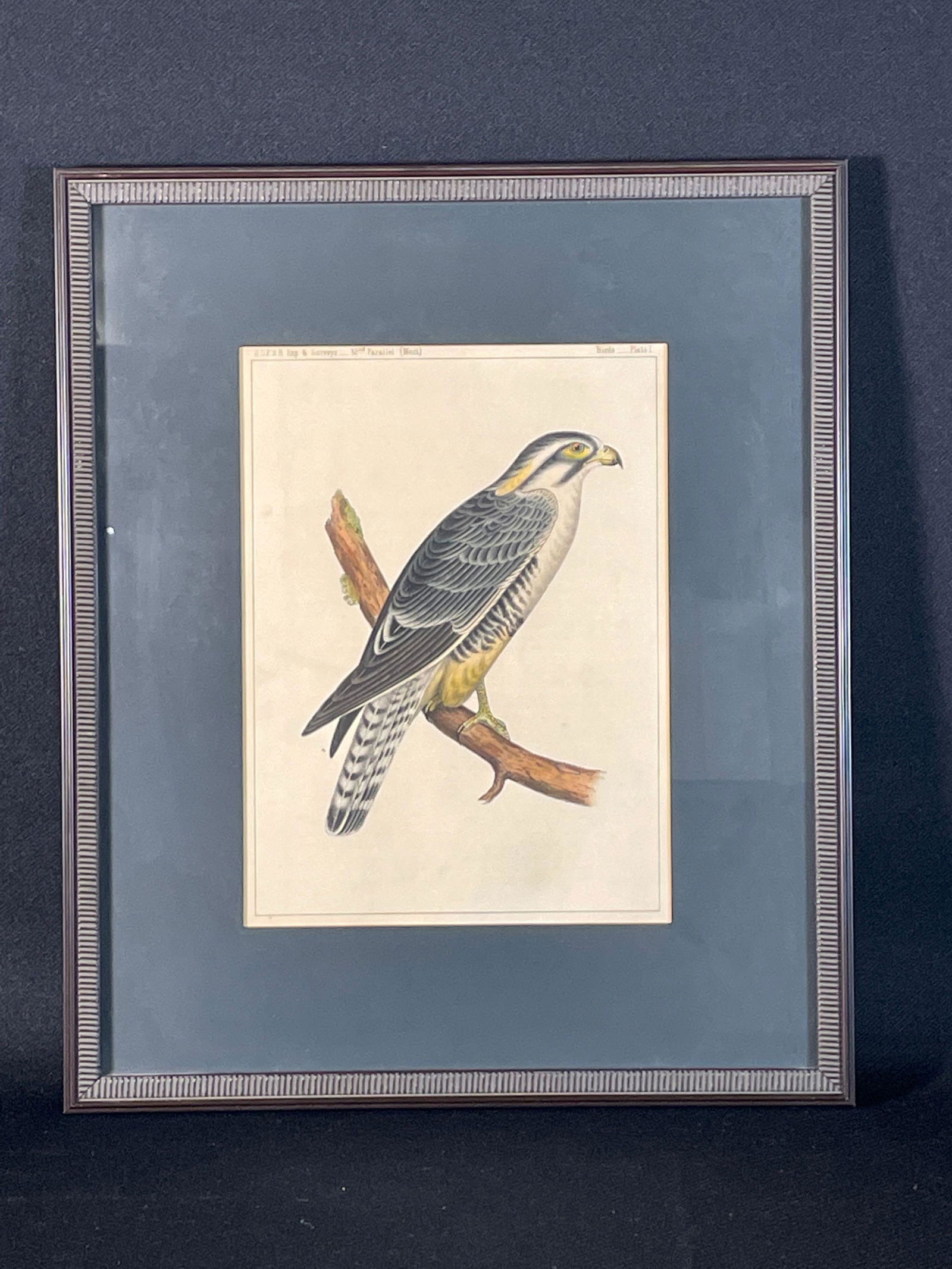 1850's U.S.P.R.R. Exp. & Surveys 32nd Parallel "Ketsel" Tinted Lithograph (1 of 4)