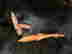 item-129471112=3